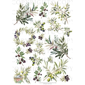 /waterslides/KS-WS194