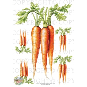 /waterslides/KS-WS195