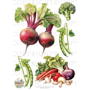 /waterslides/KS-WS196