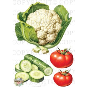 /waterslides/KS-WS197