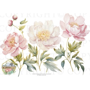 /waterslides/KS-WS200