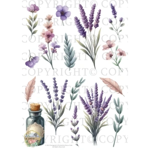 /waterslides/KS-WS205