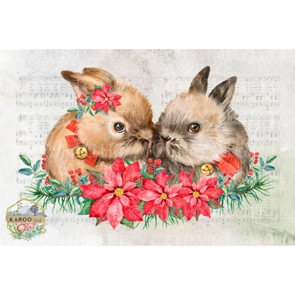 /christmas/KSFP-C001