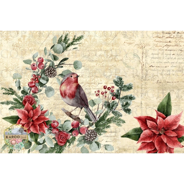 /christmas/KSFP-C002