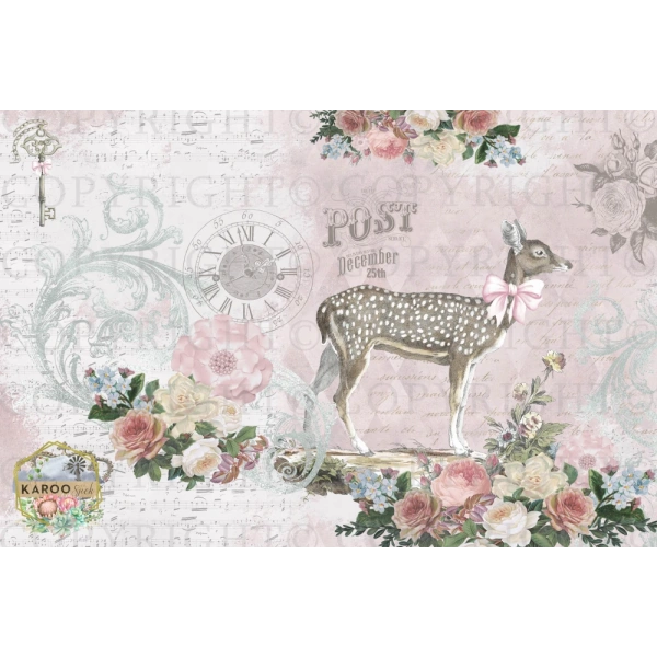 /christmas/KSFP-C011