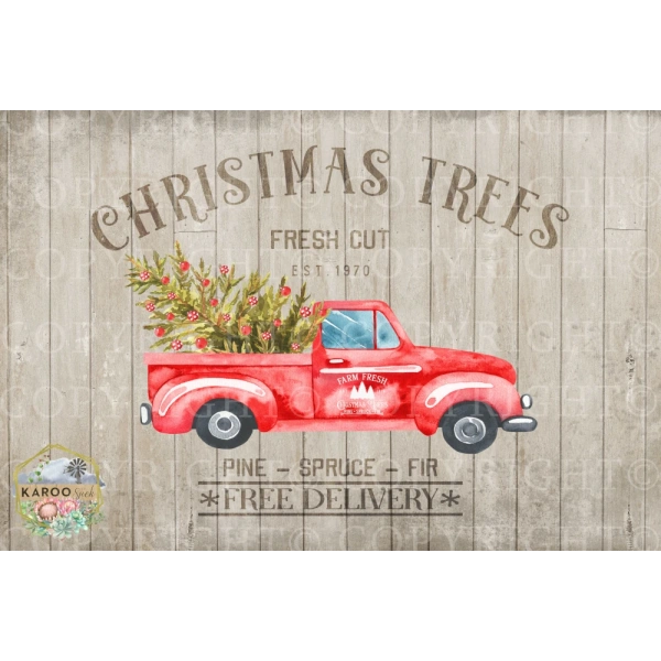 /christmas/KSFP-C026