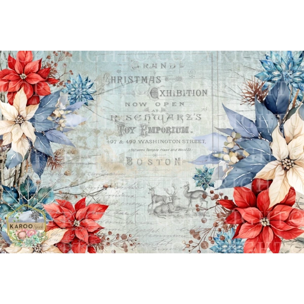 /christmas/KSFP-C029