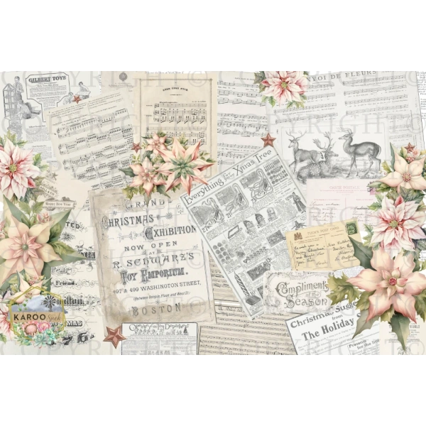 /christmas/KSFP-C030