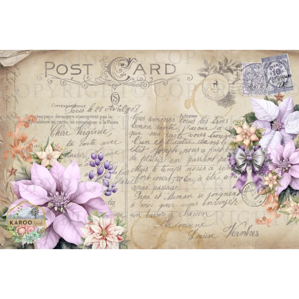 /christmas/KSFP-C031