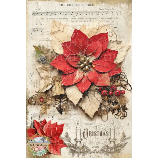 /christmas/KSFP-C033