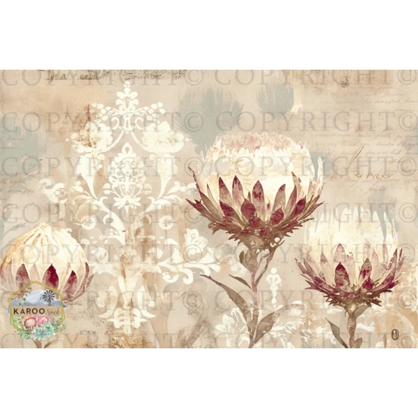 /christmas/KSFP-C036