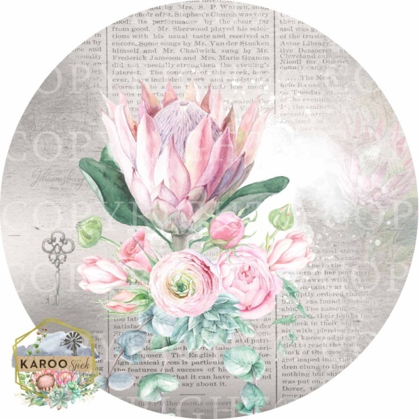 /ksdp/bins/KSFP-BL004