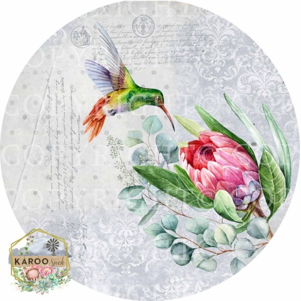 /ksdp/bins/KSFP-BL008