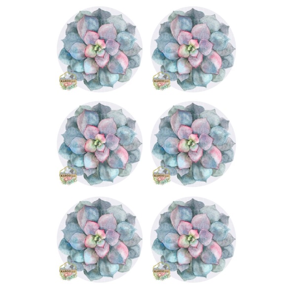 /ksdp/coasters/KSFP-OC024