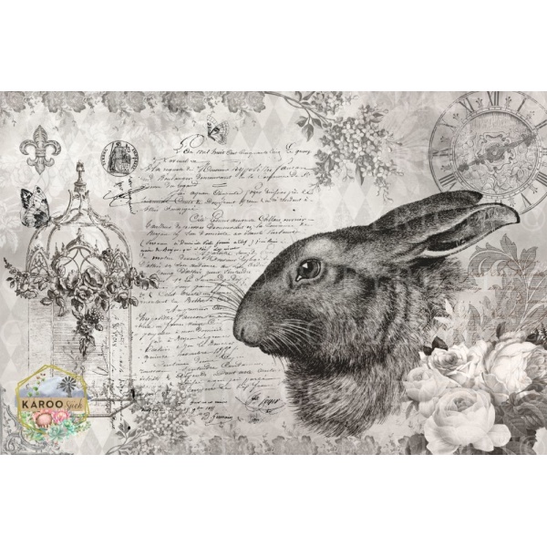 /ksdp/furniture/KS-FP031