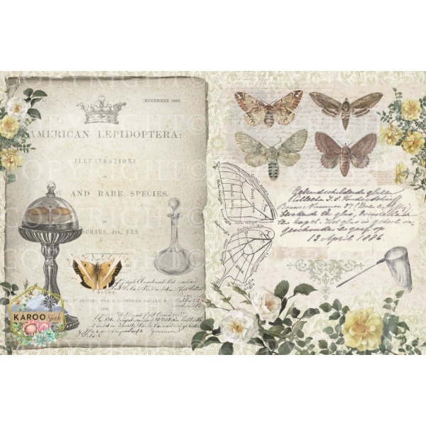 /ksdp/furniture/KS-FP093