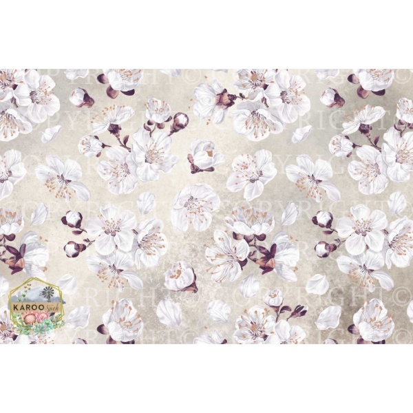 /ksdp/furniture/KS-FP138