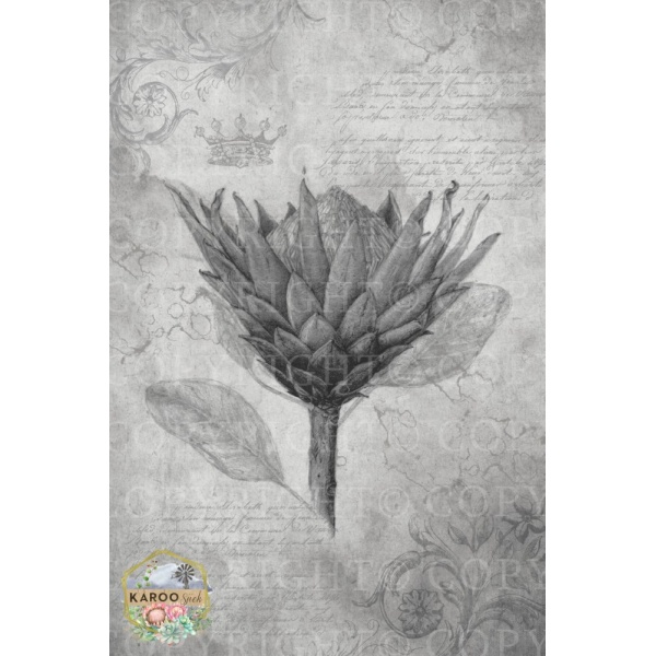 /ksdp/furniture/KS-FP187