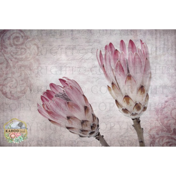 /ksdp/furniture/KS-FP189