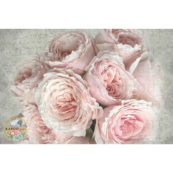 /ksdp/furniture/KS-FP191