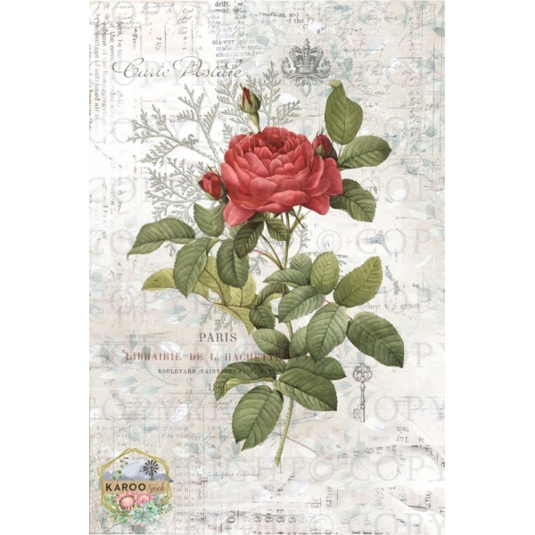 /ksdp/furniture/KS-FP229