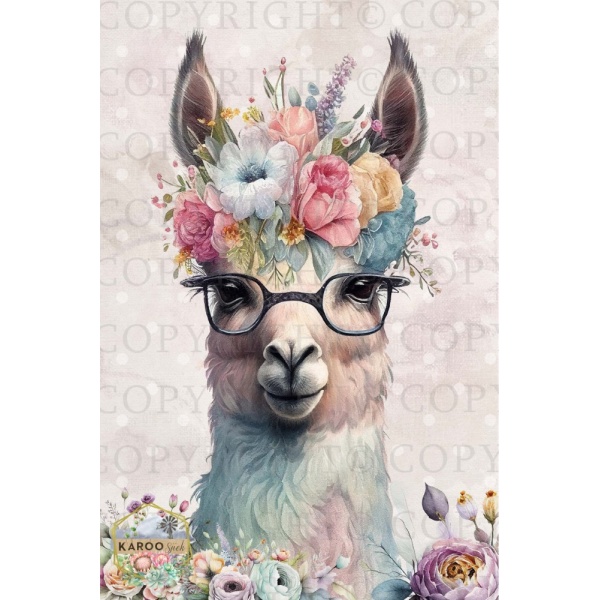 /ksdp/furniture/KS-FP249