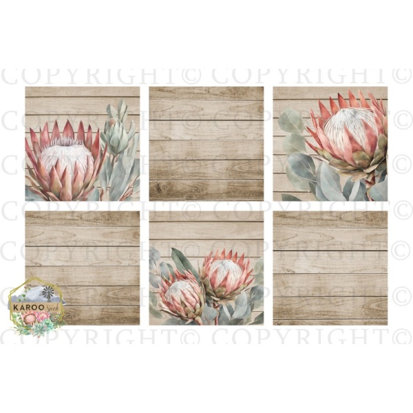 /ksdp/furniture/KS-FP273