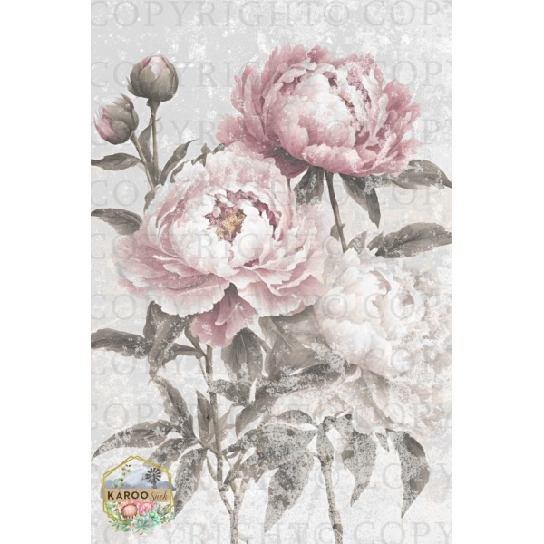 /ksdp/furniture/KS-FP297