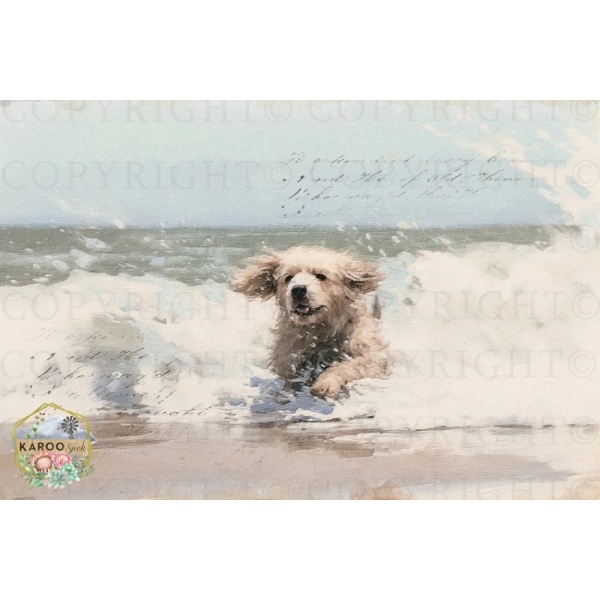 /ksdp/furniture/KS-FP305