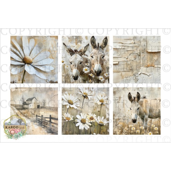 /ksdp/furniture/KS-FP337