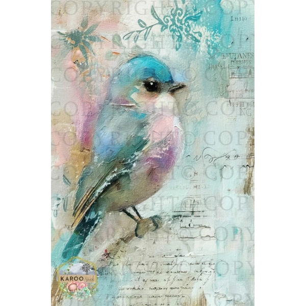 /ksdp/furniture/KS-FP356