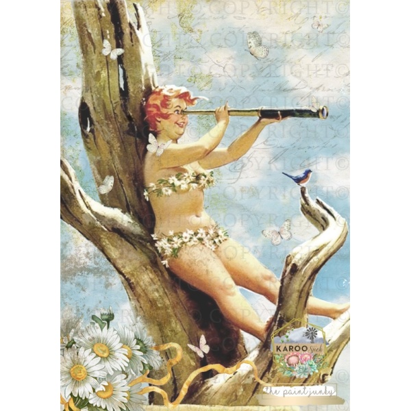 /ksdp/hilda/PJ-DP005