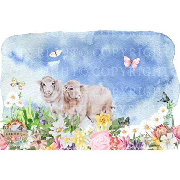 /ksdp/little-people/KS-LP014