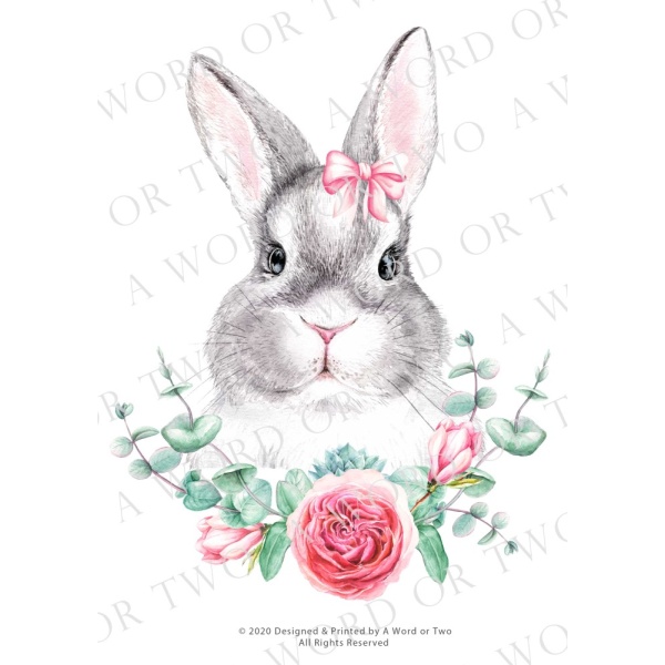 /waterslides/KS-WS013