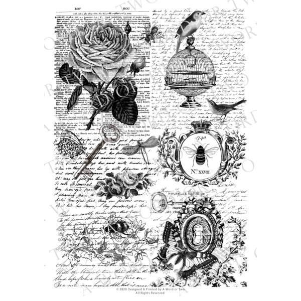 /waterslides/KS-WS020