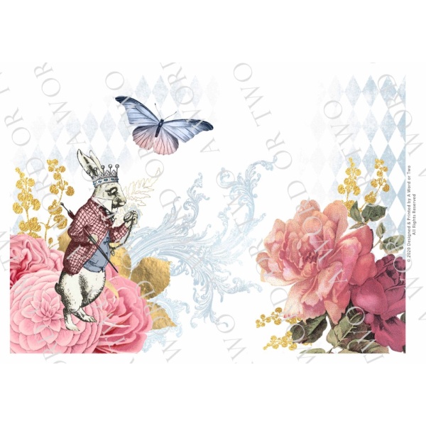 /waterslides/KS-WS032