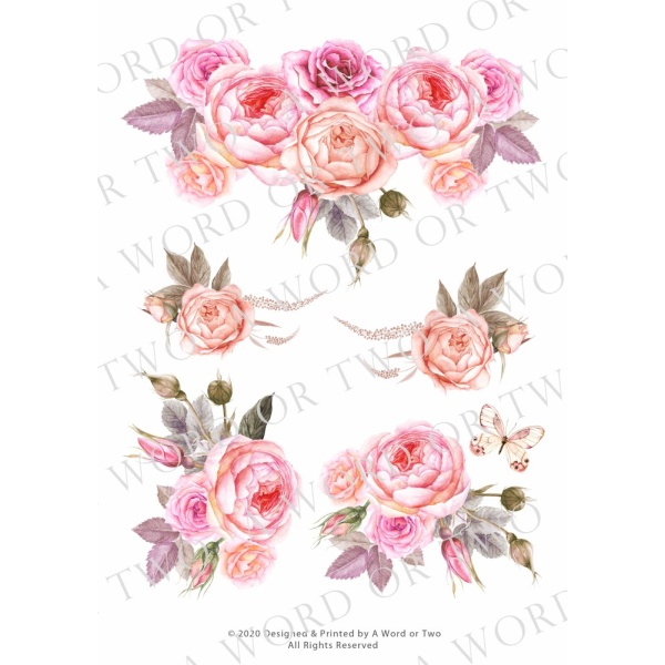 /waterslides/KS-WS039