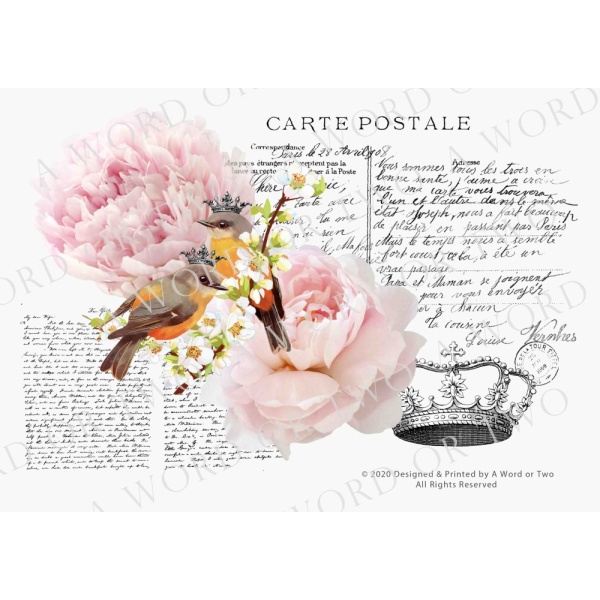 /waterslides/KS-WS049