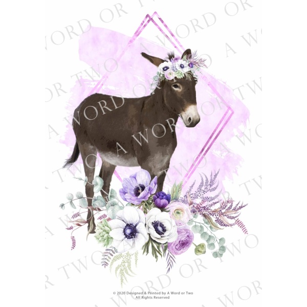 /waterslides/KS-WS051