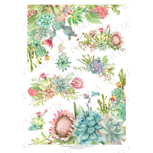 /waterslides/KS-WS054