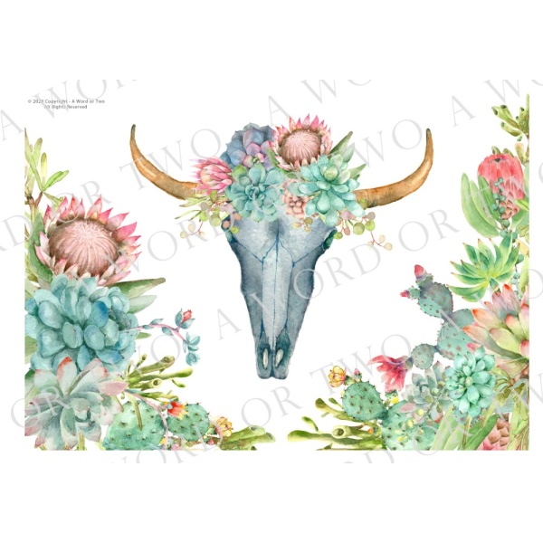 /waterslides/KS-WS055