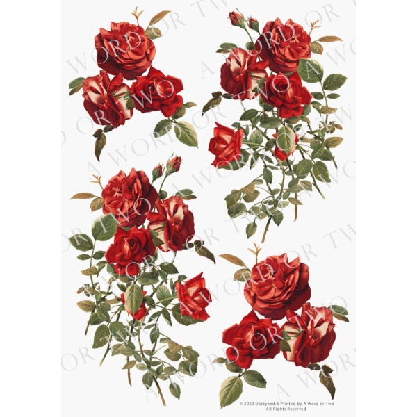 /waterslides/KS-WS074