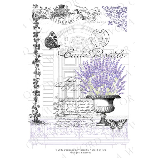 /waterslides/KS-WS075