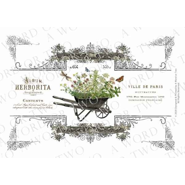 /waterslides/KS-WS077