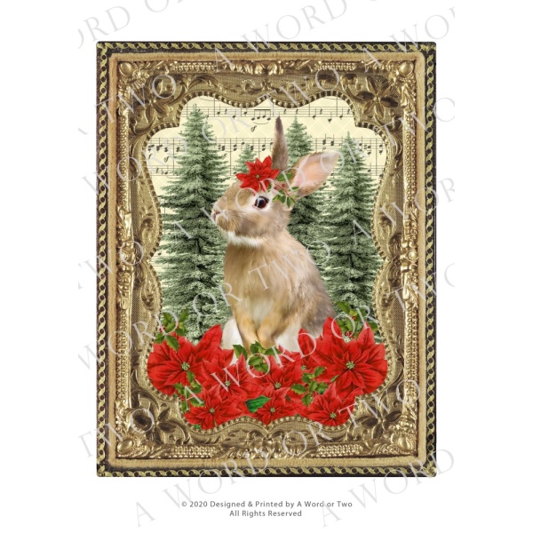 /waterslides/KS-WS096