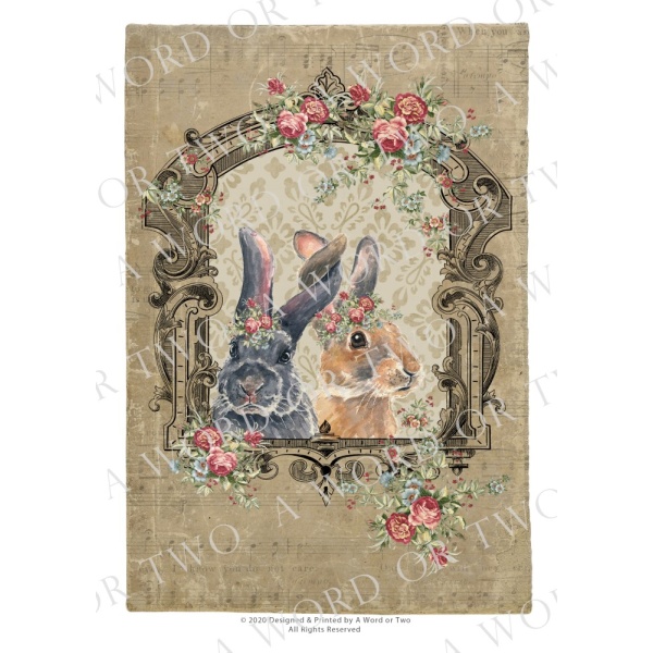 /waterslides/KS-WS101