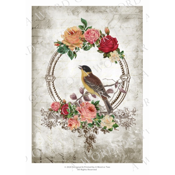 /waterslides/KS-WS102