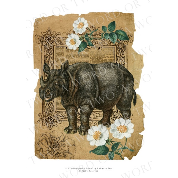 /waterslides/KS-WS105