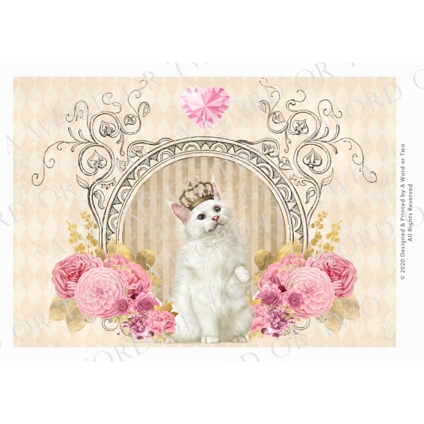 /waterslides/KS-WS106