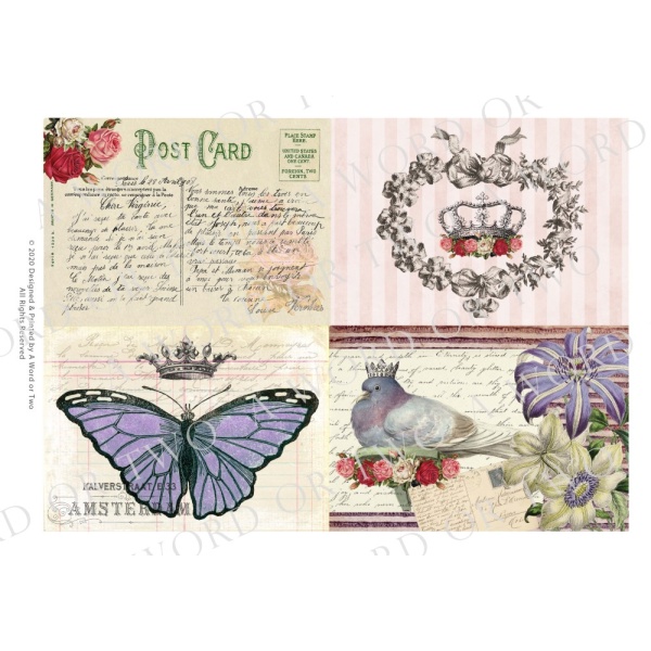 /waterslides/KS-WS126